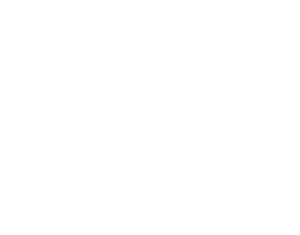 Starting line icon